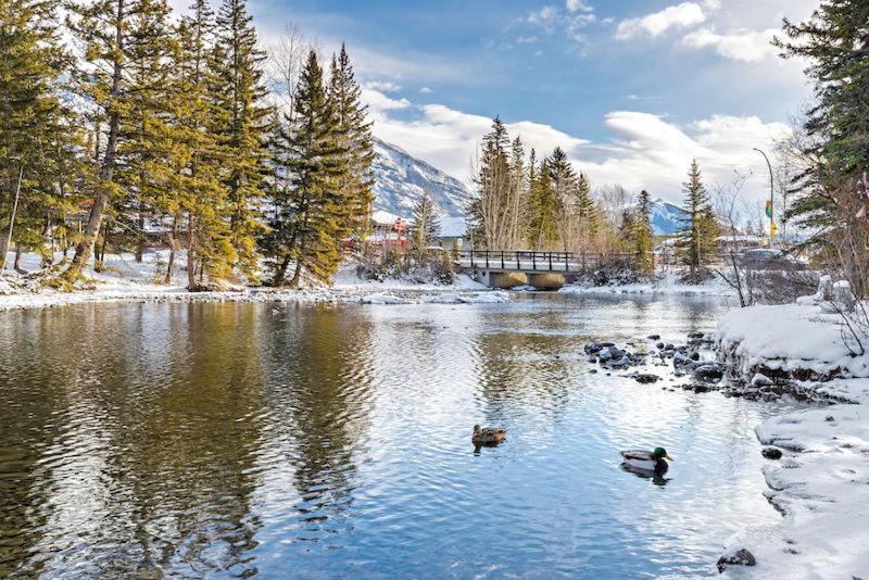Canmore Cabin By Canadian Rockies Vacation Rentals Exterior photo